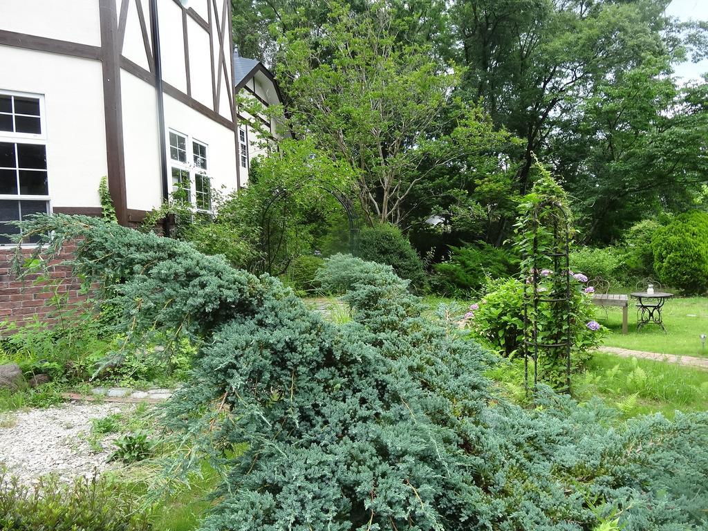 Gasthof Arutany Насу Екстер'єр фото
